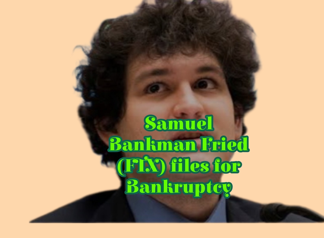 SAMUEL BANKMAN FRIED FTX OWNER