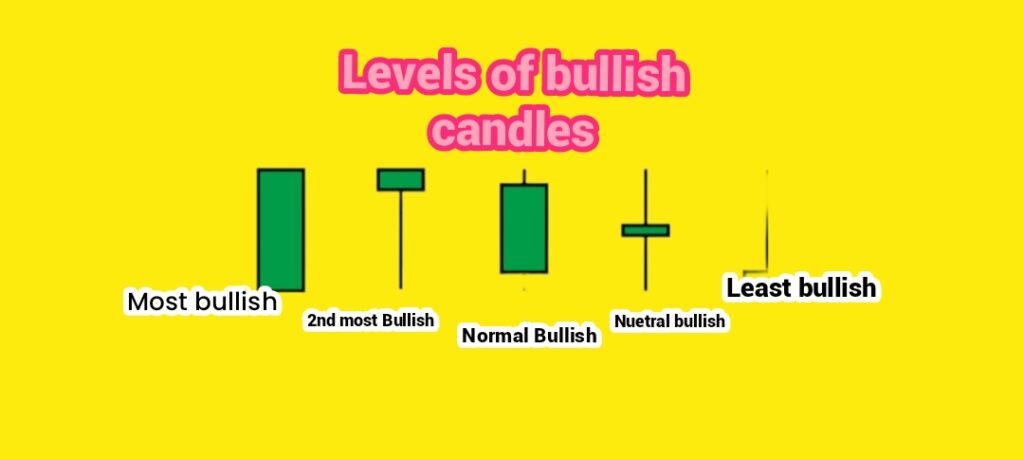 levels of bullish candles